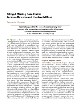 Jackson Dawson and the Arnold Rose