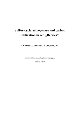 Schick, M. Sulfur-Cycle, Nitrogenase and Carbon Utilization In