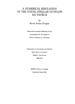 A Numerical Simulation of the Young Stellar Outflow Dg Tauri B