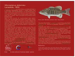 Micropterus Dolomieu Lacepède, 1802 Micropterus Dolomieu Commonly Known As Smallmouth Bass Is a Freshwater, Benthopelagic Species