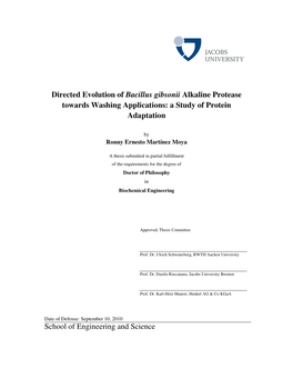 Directed Evolution of Bacillus Gibsonii Alkaline Protease Towards Washing Applications: a Study of Protein Adaptation