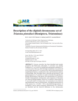 Description of the Diploid Chromosome Set of Triatoma Pintodiasi (Hemiptera, Triatominae)