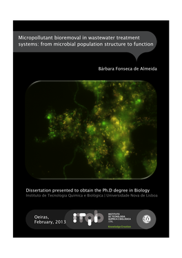 Micropollutant Bioremoval in Wastewater Treatment Systems: from Microbial Population Structure to Function