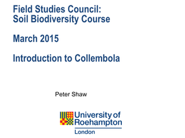 Soil Biodiversity Course March 2015 Introduction to Collembola