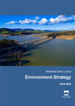 Environment Strategy