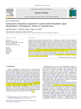 Comparative Phosphate Acquisition in Giant-Celled Rhizophytic Algae (Bryopsidales, Chlorophyta): Fleshy Vs