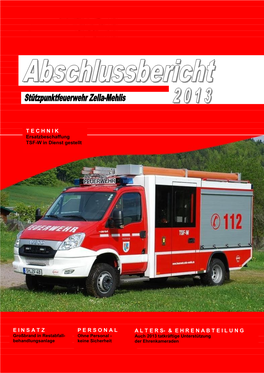 Jahresabschlussbericht 2013