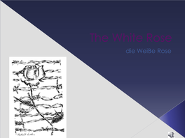 The White Rose Was a Non Violent Group of Students from the University of Munich