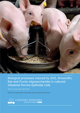 Biological Processes Induced by Zno, Amoxicillin, Rye and Fructo- Oligosaccharides in Cultured Intestinal Porcine Epithelial Cells