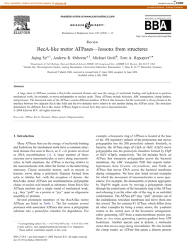 Reca-Like Motor Atpases—Lessons from Structures