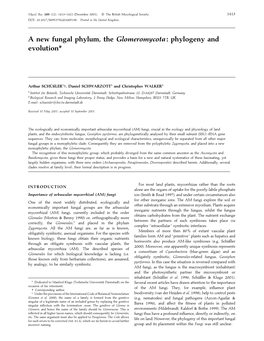 A New Fungal Phylum, the Glomeromycota: Phylogeny and Evolution*