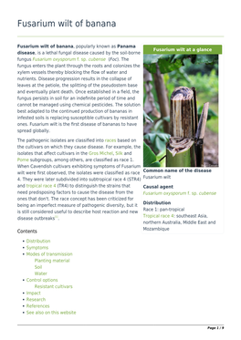 Fusarium Wilt | Knowledge and News on Bananas from Promusa