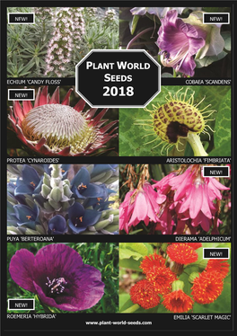 Plant World Seeds