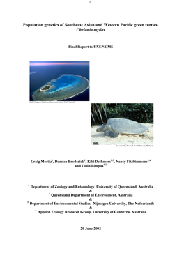 Population Genetics of Southeast Asian and Western Pacific Green Turtles, Chelonia Mydas