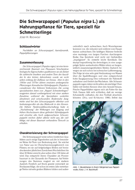 Die Schwarzpappel (Populus Nigra L.) Als Nahrungspflanze Für Tiere, Speziell Für Schmetterlinge