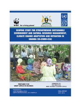 Undp Scoping Study for Strengthening Sustainable