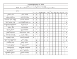 Wild & Ancient Britain and Ireland WILDLIFE SIGHTINGS (Birds