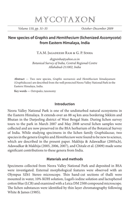 New Species of <I>Graphis</I> and <I>Hemithecium