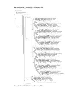 Furnariinae Species Tree, Part II: Philydorini & Margarornini