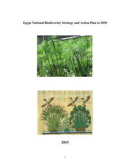 Egypt National Biodiversity Strategy and Action Plan to 2030