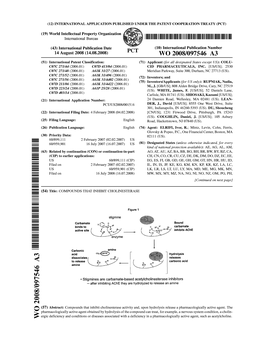 (19) World Intellectual Property Organization International Bureau