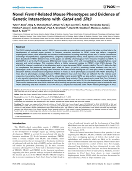 Novel Frem1-Related Mouse Phenotypes and Evidence of Genetic Interactions with Gata4 and Slit3