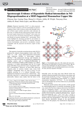 Spectroscopic Evidence of Hyponitrite Radical Intermediate in NO Disproportionation at a MOF‐Supported Mononuclear Copper Site