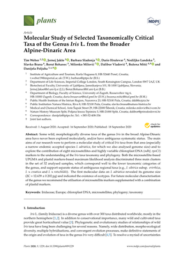 Molecular Study of Selected Taxonomically Critical Taxa of the Genus Iris L. from the Broader Alpine-Dinaric Area