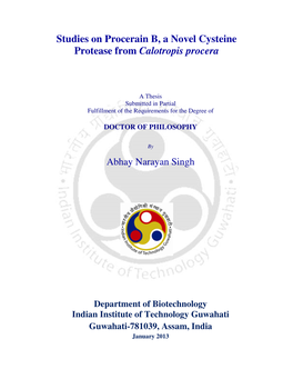 Studies on Procerain B, a Novel Cysteine Protease from Calotropis Procera