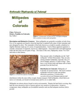 Millipedes of Colorado