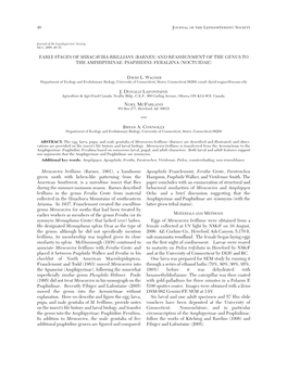 Early Stages of Miracavira Brillians (Barnes) and Reassignment of the Genus to the Amphipyrinae: Psaphidini: Feraliina (Noctuidae)