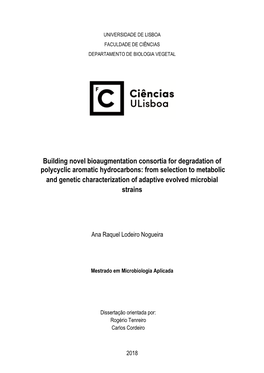 From Selection to Metabolic and Genetic Characterization of Adaptive Evolved Microbial Strains