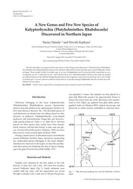 A New Genus and Five New Species of Kalyptorhynchia (Platyhelminthes: Rhabdocoela) Discovered in Northern Japan