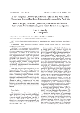 Coleoptera, Cucujoidea) from Indonesian Papua and the Australia