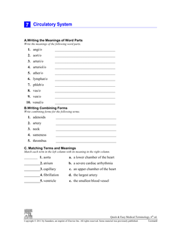 7 Circulatory System