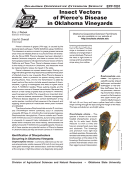 Insect Vectors of Pierce's Disease in Oklahoma Vineyards