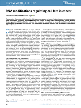 RNA Modifications Regulating Cell Fate in Cancer