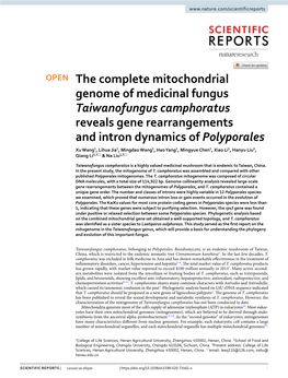 The Complete Mitochondrial Genome of Medicinal Fungus Taiwanofungus Camphoratus Reveals Gene Rearrangements and Intron Dynamics