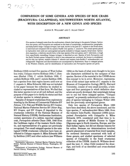 Comparison of Some Genera and Species of Box Crabs (Brachyura: Calappidae), Southwestern North Atlantic, with Description of a New Genus and Species