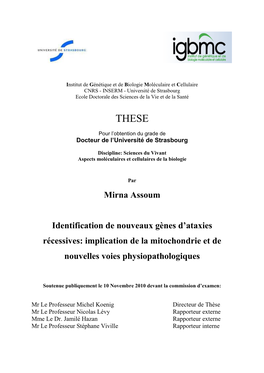 Identification De Nouveaux Gènes D'ataxies Récessives