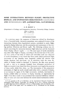 Some Interactions Between Flight, Protective Display, and Oviposition Behaviour in Callosamia and Rothschildia Spp