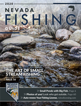 Nevada Fishing Guide