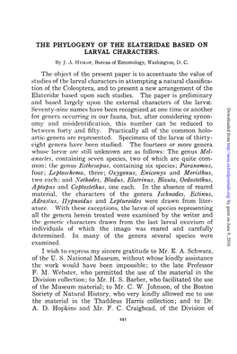 The Phylogeny of the Elateridae Based on Larval Characters