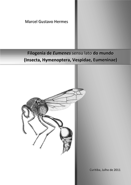 Insecta, Hymenoptera, Vespidae, Eumeninae)