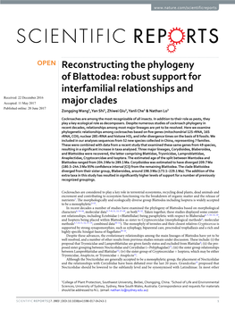 Reconstructing the Phylogeny of Blattodea