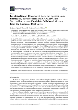 Identification of Uncultured Bacterial Species from Firmicutes