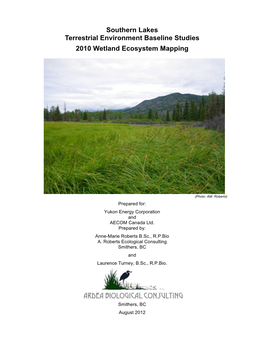 Southern Lakes Wetland Mapping Report 2010 Final 21Aug12