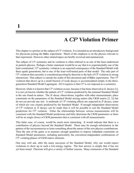 1 a CP Violation Primer