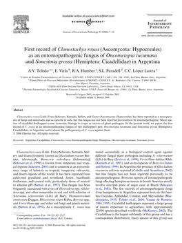 First Record of Clonostachys Rosea (Ascomycota: Hypocreales) As An