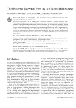 The First Green Lacewings from the Late Eocene Baltic Amber